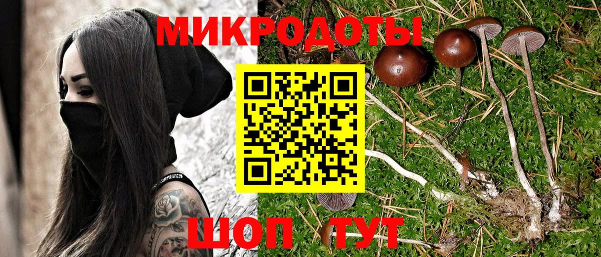 Псилоцибиновые грибы Psilocybine cubensis Нижнекамск