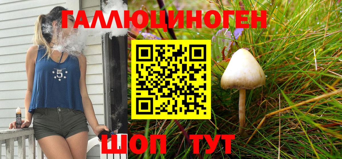 Псилоцибиновые грибы Psilocybe  Вход с VPN  Нижнекамск  Псилоцибиновые грибы Cubensis 